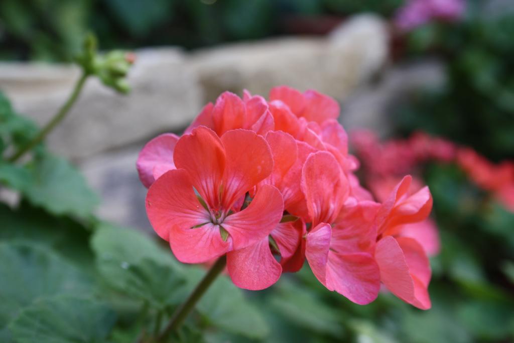 Bed and Breakfast Kerkent Agrigento Exterior foto